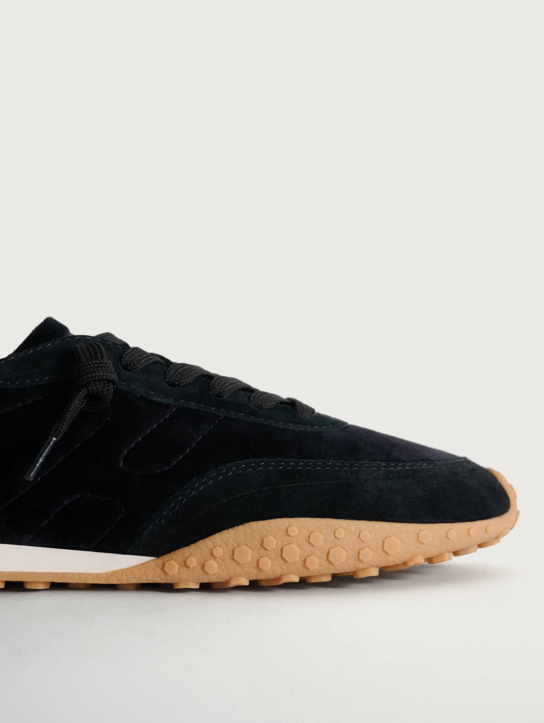 royal_tern_2.webp Best Sale HOFF ROYAL TERN