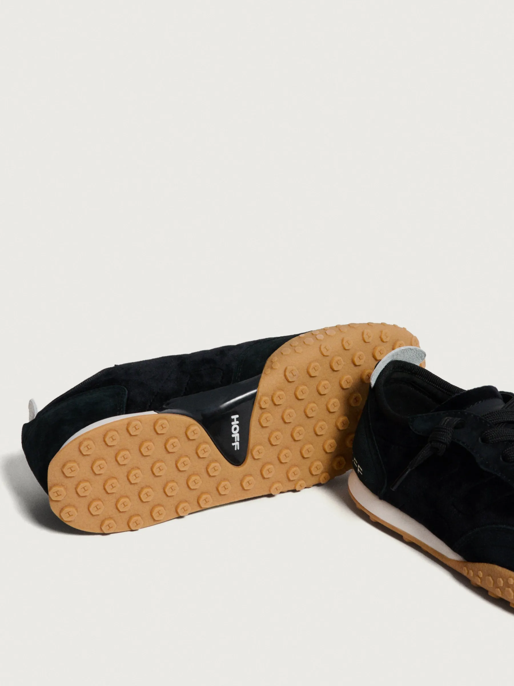 royal_tern_3.webp Best Sale HOFF ROYAL TERN